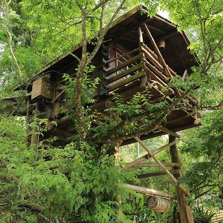 Lai Home Country Cottage B&B Meishan Dış mekan fotoğraf